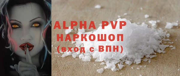 ГАЛЛЮЦИНОГЕННЫЕ ГРИБЫ Заволжье