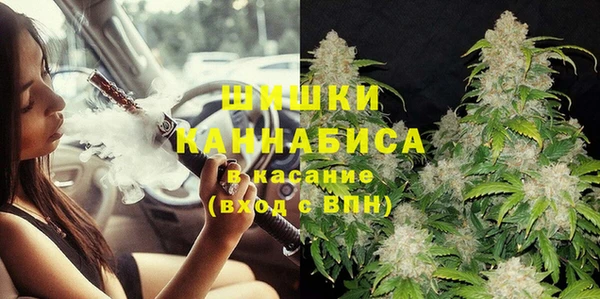 МДПВ Заводоуковск