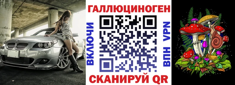 Галлюциногенные грибы Cubensis  Купить закладки  Можга 