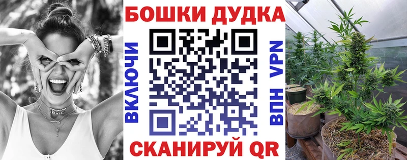 Бошки Шишки конопля  Купить где  Можга 